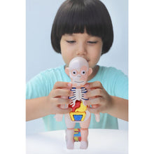 Load image into Gallery viewer, STEM Toys STEAM Toy Science Educational Human anatomy Activity Kit Gift for kids