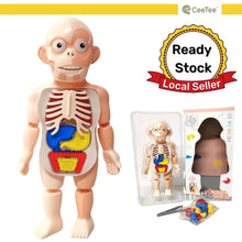 Load image into Gallery viewer, STEM Toys STEAM Toy Science Educational Human anatomy Activity Kit Gift for kids
