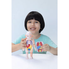 Load image into Gallery viewer, STEM Toys STEAM Toy Science Educational Human anatomy Activity Kit Gift for kids