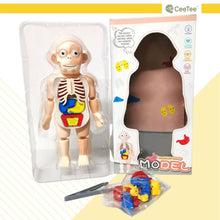 Load image into Gallery viewer, STEM Toys STEAM Toy Science Educational Human anatomy Activity Kit Gift for kids