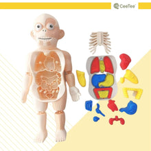 Load image into Gallery viewer, STEM Toys STEAM Toy Science Educational Human anatomy Activity Kit Gift for kids
